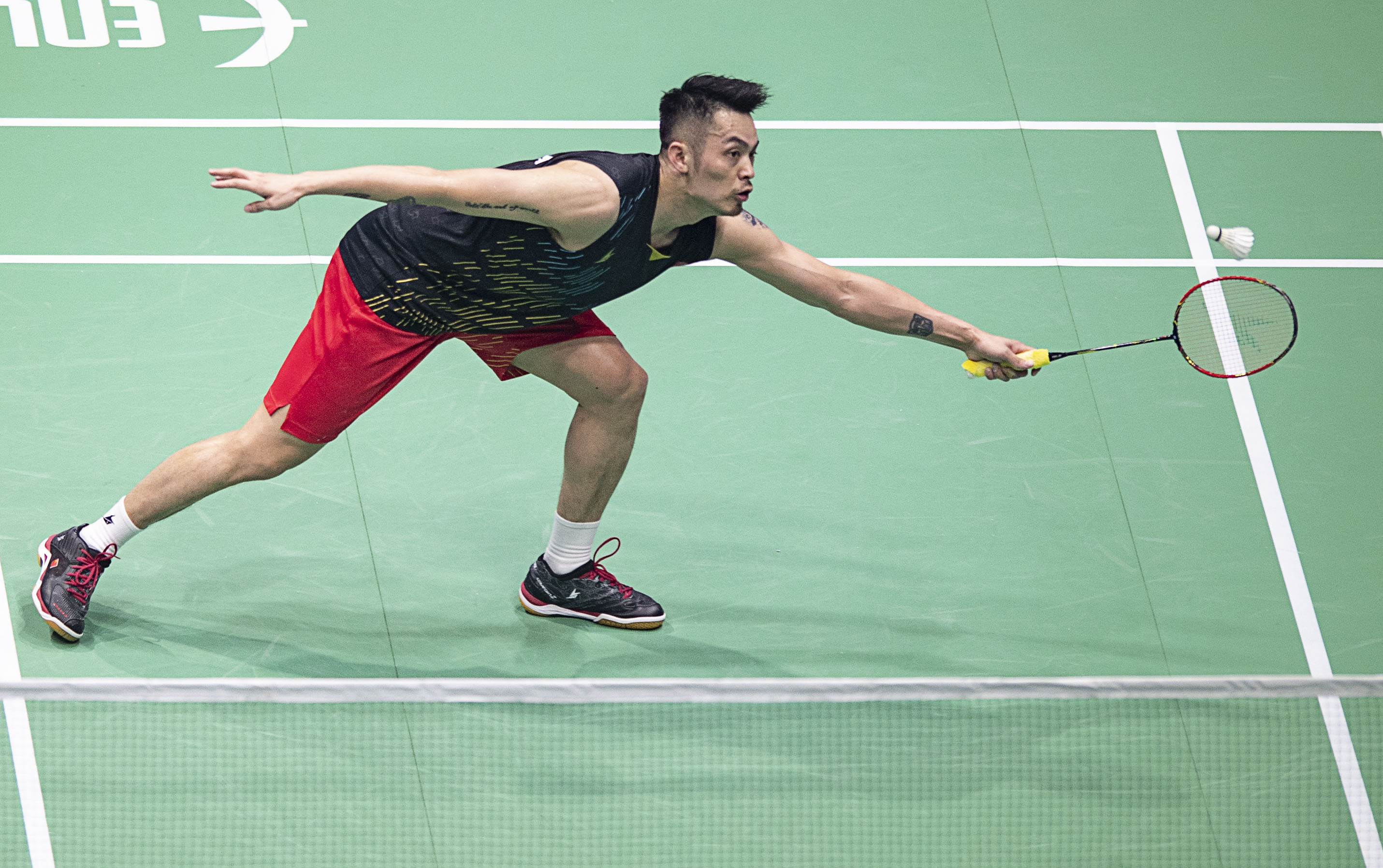 让野辅先动 让野辅先动